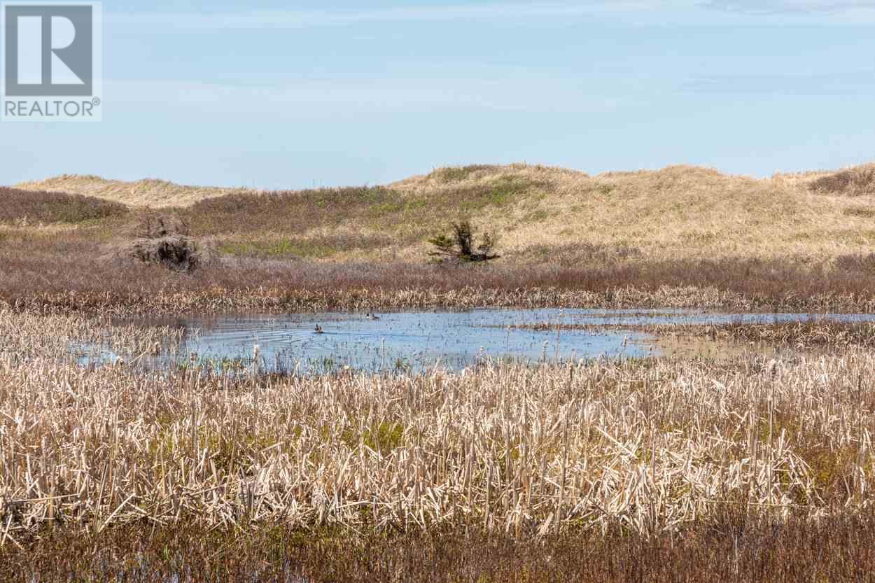 Acreage Glory Lane, Elmira, Prince Edward Island C0A 2B0 - Photo 2 - 202513963