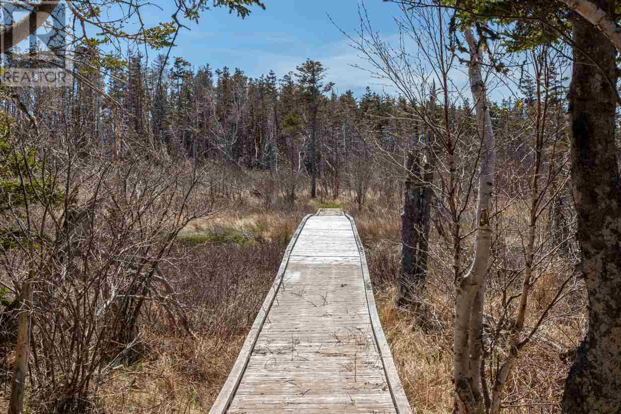 Acreage Glory Lane, Elmira, Prince Edward Island C0A 2B0 - Photo 5 - 202513963
