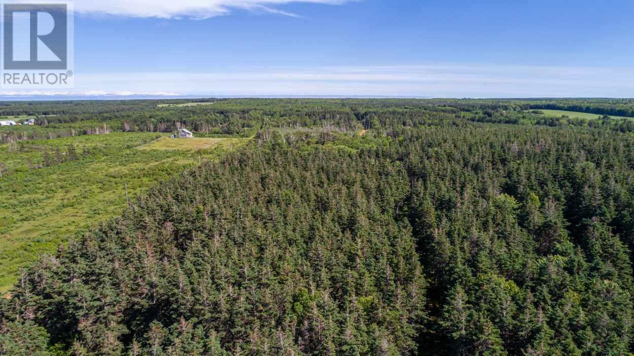 1 Willow Lane, Priest Pond, Prince Edward Island C0A 2B0 - Photo 12 - 202514119