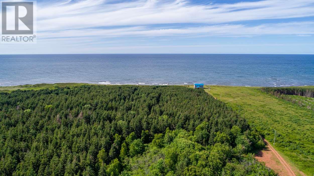 1 Willow Lane, Priest Pond, Prince Edward Island C0A 2B0 - Photo 13 - 202514119