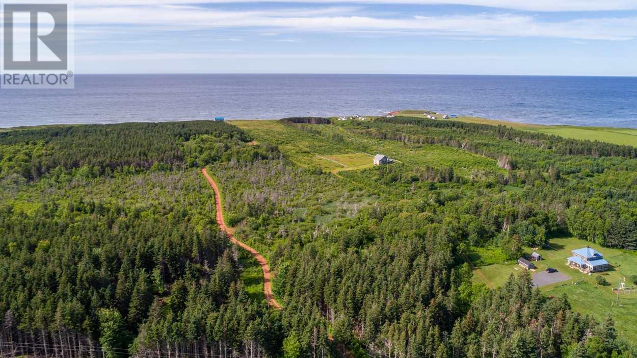 1 Willow Lane, Priest Pond, Prince Edward Island C0A 2B0 - Photo 17 - 202514119