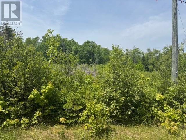 Lot 13 Westwood Lane, Emyvale, Prince Edward Island  C0A 1Y0 - Photo 10 - 202514250