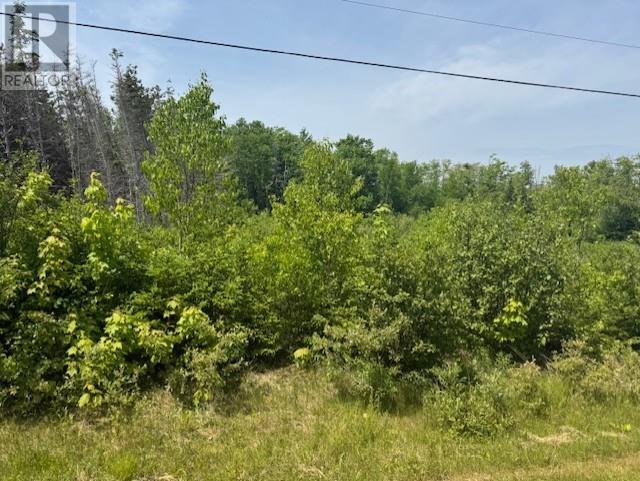 Lot 13 Westwood Lane, Emyvale, Prince Edward Island  C0A 1Y0 - Photo 12 - 202514250