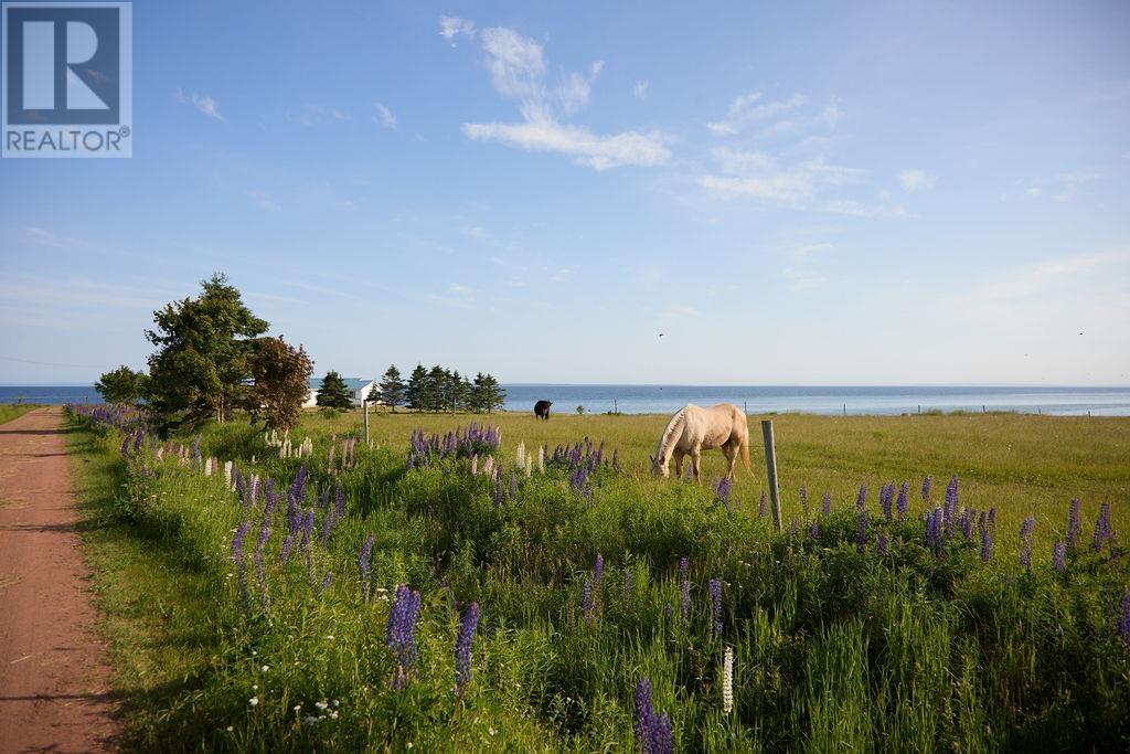3595 Cape Bear Road, Murray Harbour, Prince Edward Island  C0A 1V0 - Photo 1 - 202516981