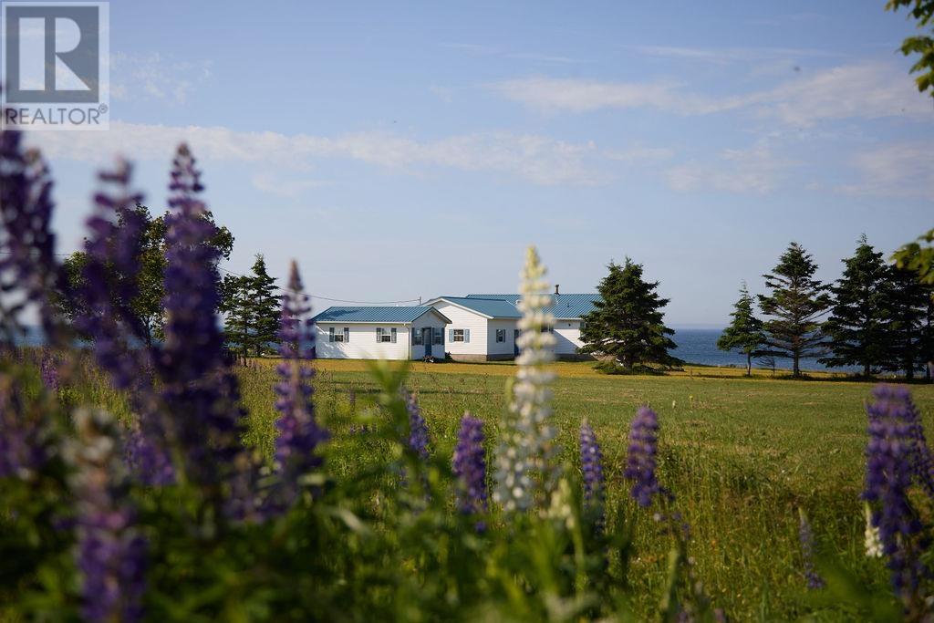 3595 Cape Bear Road, Murray Harbour, Prince Edward Island  C0A 1V0 - Photo 2 - 202516981