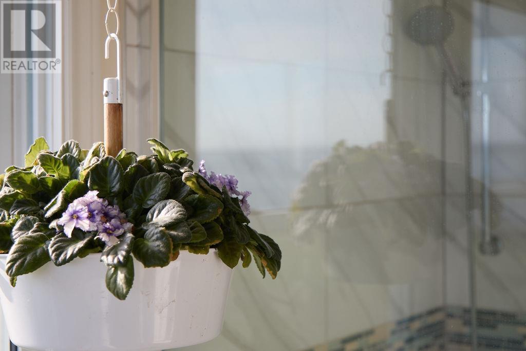 3595 Cape Bear Road, Murray Harbour, Prince Edward Island  C0A 1V0 - Photo 26 - 202516981