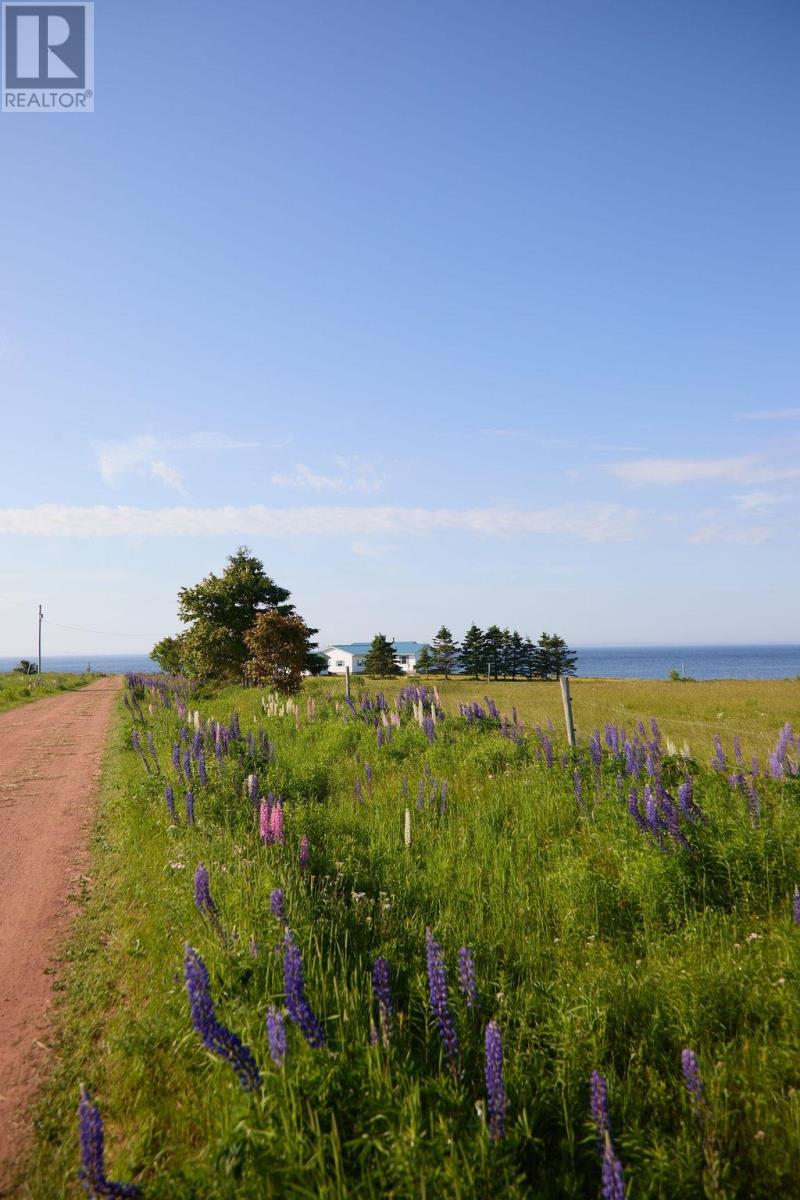 3595 Cape Bear Road, Murray Harbour, Prince Edward Island  C0A 1V0 - Photo 41 - 202516981
