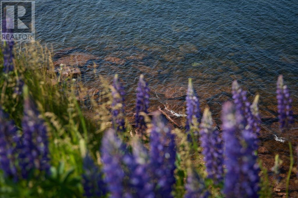 3595 Cape Bear Road, Murray Harbour, Prince Edward Island  C0A 1V0 - Photo 50 - 202516981