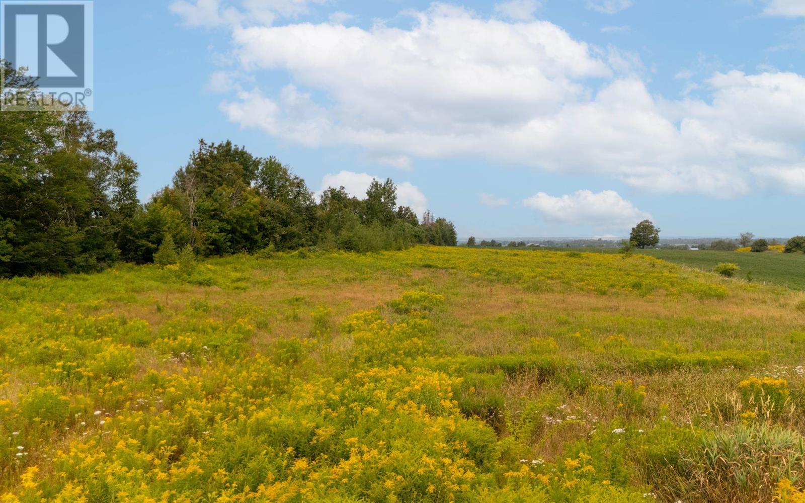 10628 Trans Canada Highway, Mount Herbert, Prince Edward Island  C1B 0T3 - Photo 41 - 202519652