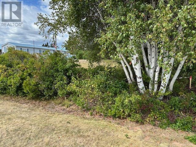 Lot Machon Point Road, Murray Harbour, Prince Edward Island C0A 1V0 - Photo 10 - 202522820