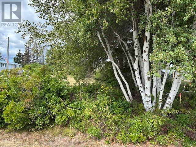 Lot Machon Point Road, Murray Harbour, Prince Edward Island C0A 1V0 - Photo 11 - 202522820
