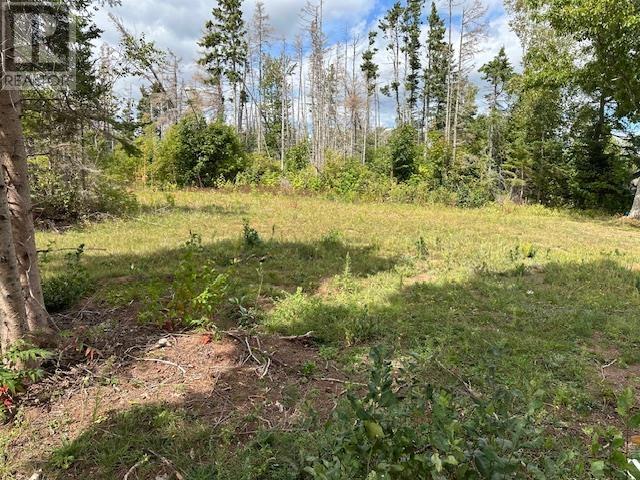 Lot Machon Point Road, Murray Harbour, Prince Edward Island C0A 1V0 - Photo 6 - 202522820