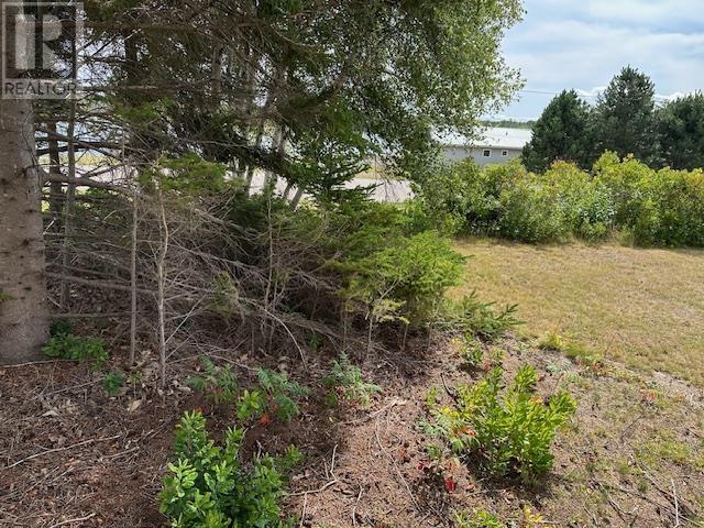 Lot Machon Point Road, Murray Harbour, Prince Edward Island C0A 1V0 - Photo 8 - 202522820