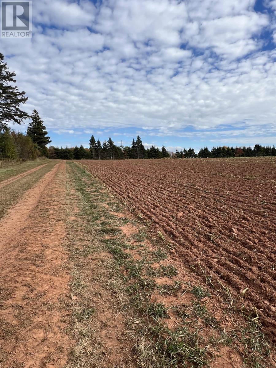 Lot 27 County Line Road, Shamrock, Prince Edward Island  C0B 1N0 - Photo 1 - 202526170