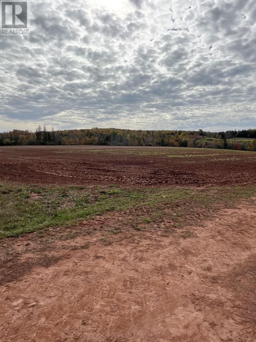 Lot 27 County Line Road, Shamrock, Prince Edward Island  C0B 1N0 - Photo 10 - 202526170