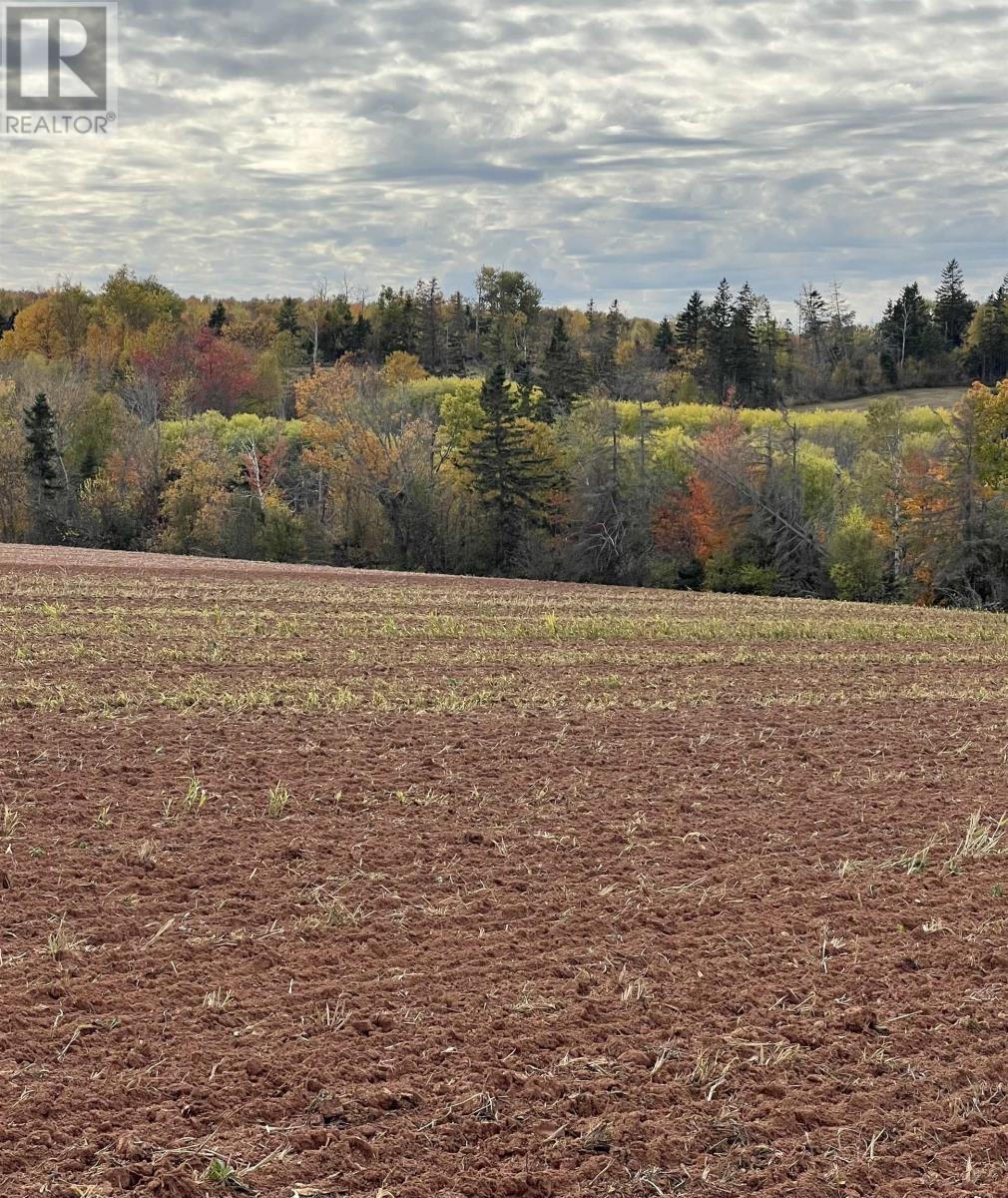Lot 27 County Line Road, Shamrock, Prince Edward Island  C0B 1N0 - Photo 11 - 202526170
