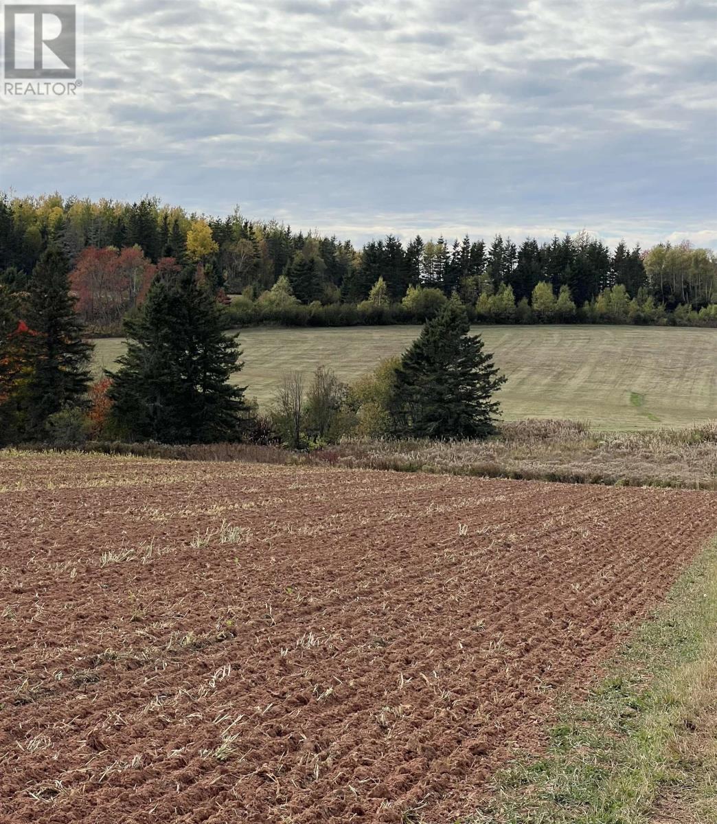 Lot 27 County Line Road, Shamrock, Prince Edward Island  C0B 1N0 - Photo 12 - 202526170