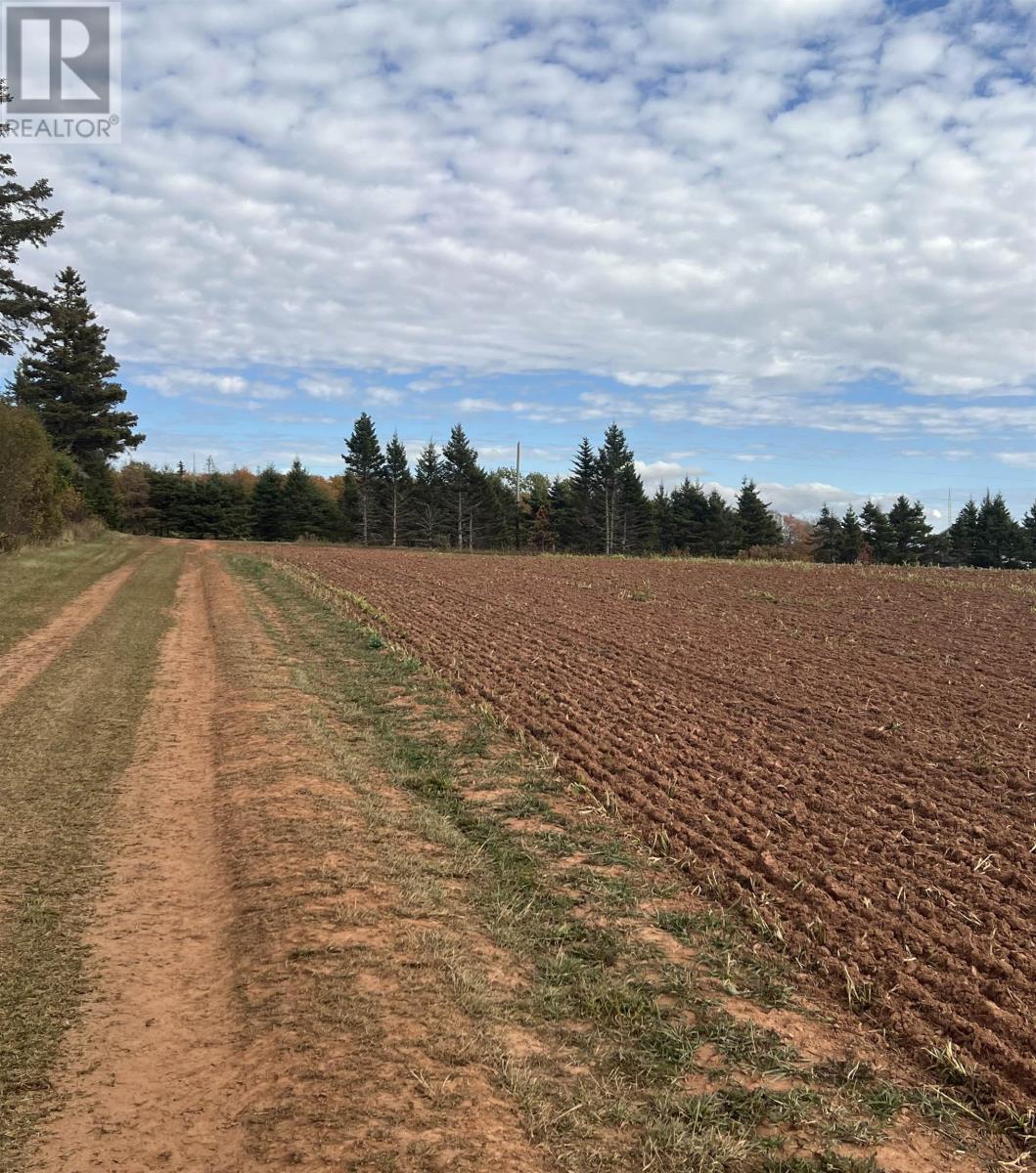 Lot 27 County Line Road, Shamrock, Prince Edward Island  C0B 1N0 - Photo 2 - 202526170