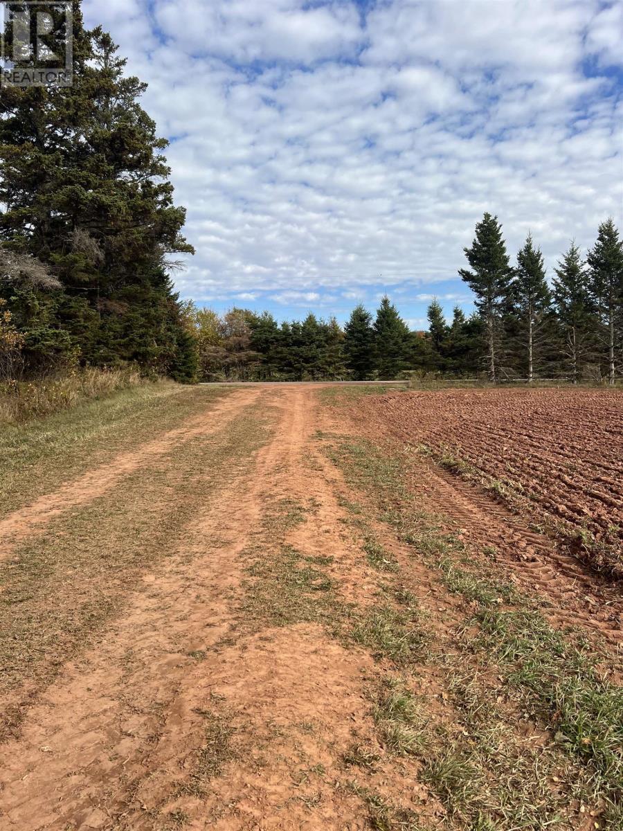 Lot 27 County Line Road, Shamrock, Prince Edward Island  C0B 1N0 - Photo 3 - 202526170