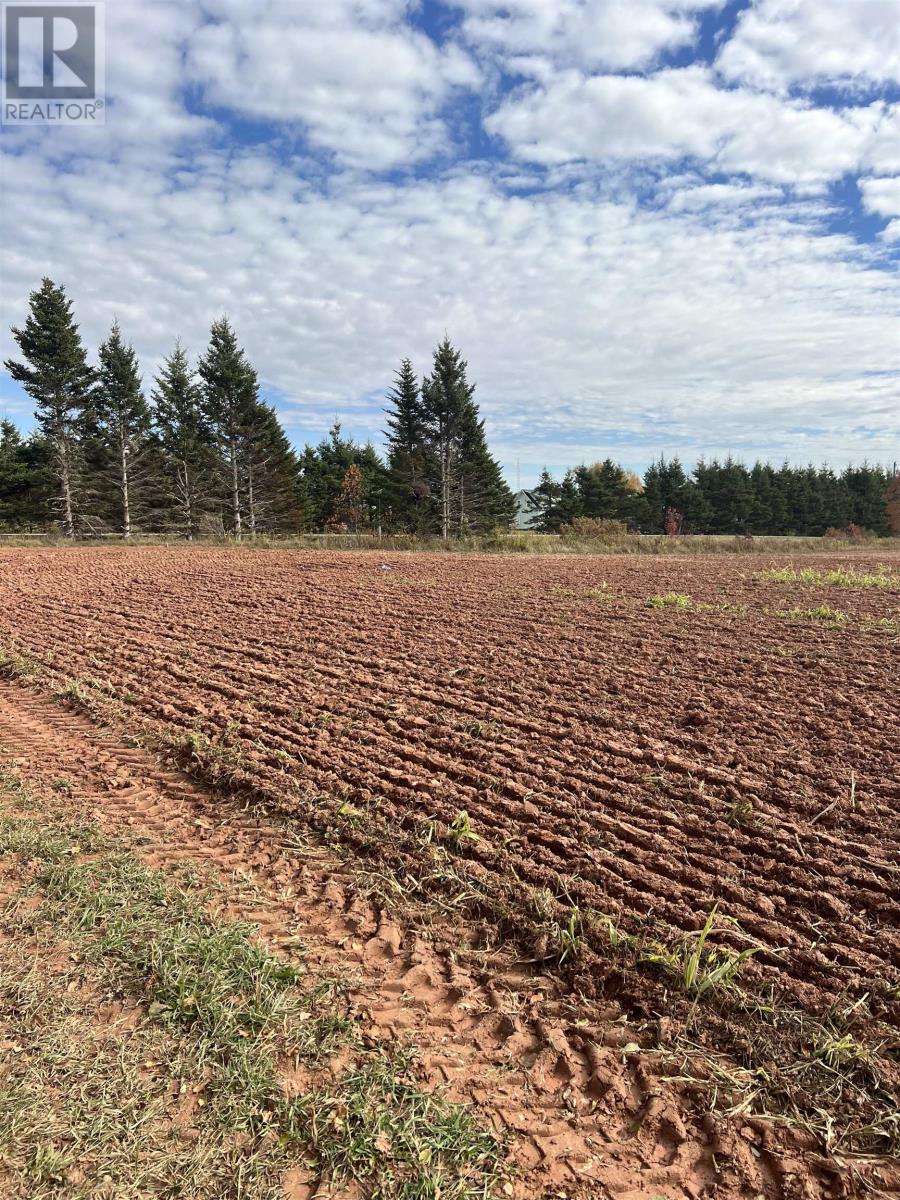 Lot 27 County Line Road, Shamrock, Prince Edward Island  C0B 1N0 - Photo 4 - 202526170