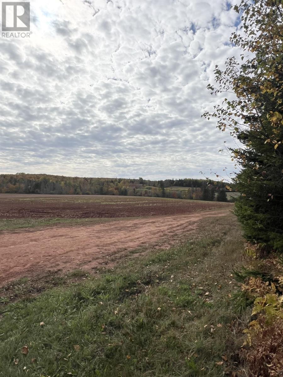 Lot 27 County Line Road, Shamrock, Prince Edward Island  C0B 1N0 - Photo 5 - 202526170