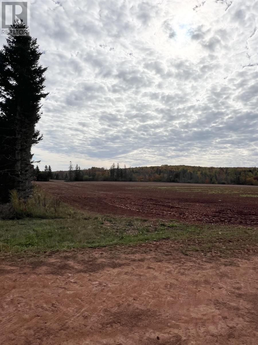 Lot 27 County Line Road, Shamrock, Prince Edward Island  C0B 1N0 - Photo 6 - 202526170