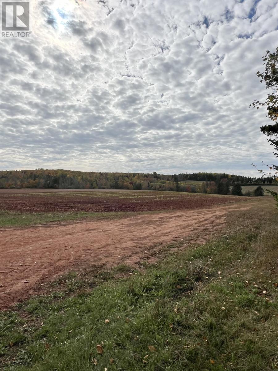 Lot 27 County Line Road, Shamrock, Prince Edward Island  C0B 1N0 - Photo 7 - 202526170
