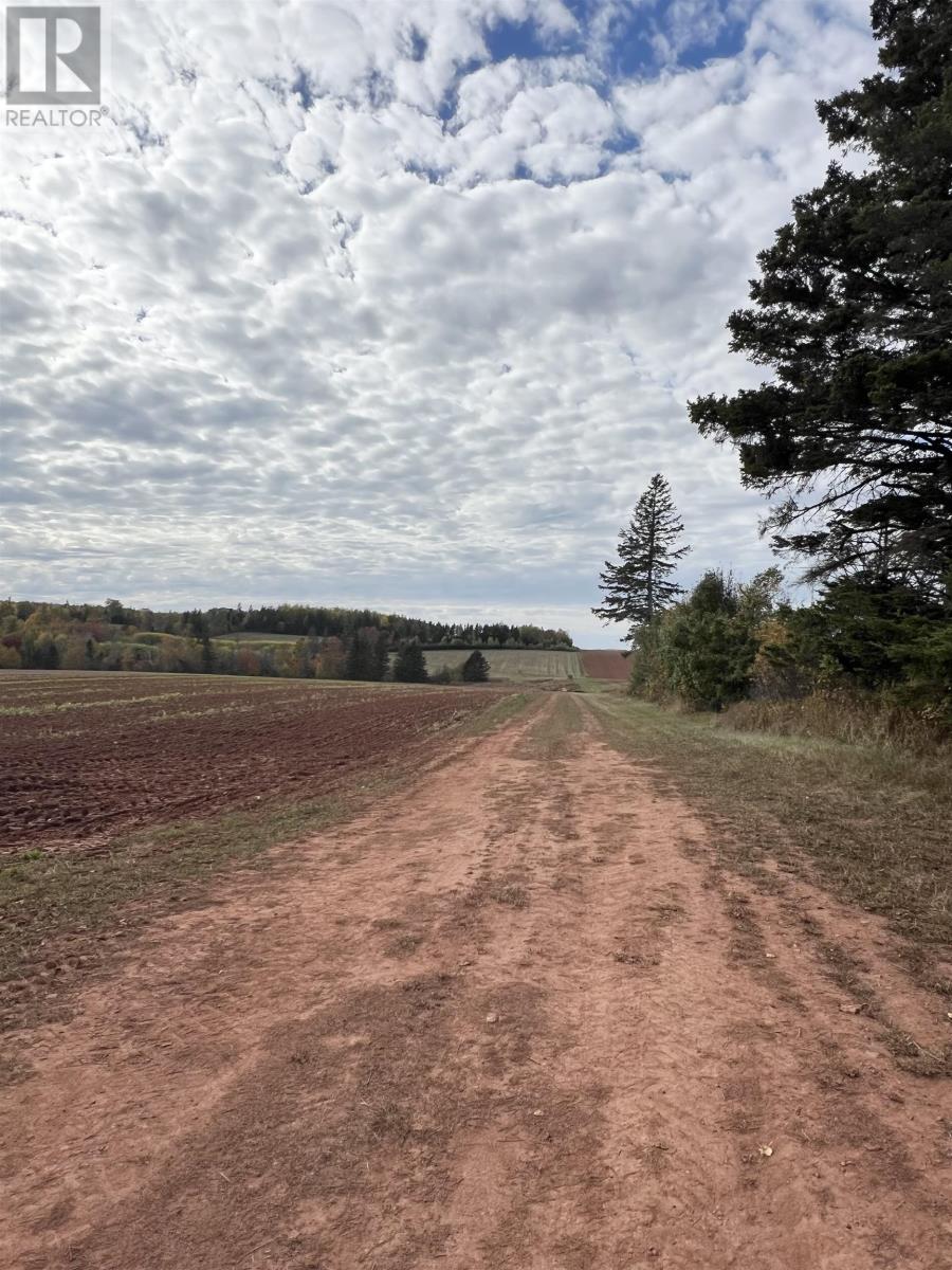 Lot 27 County Line Road, Shamrock, Prince Edward Island  C0B 1N0 - Photo 8 - 202526170