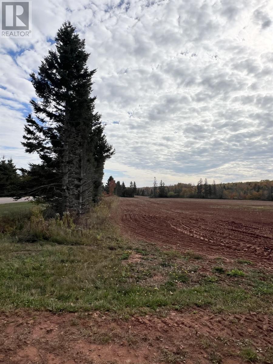 Lot 27 County Line Road, Shamrock, Prince Edward Island  C0B 1N0 - Photo 9 - 202526170