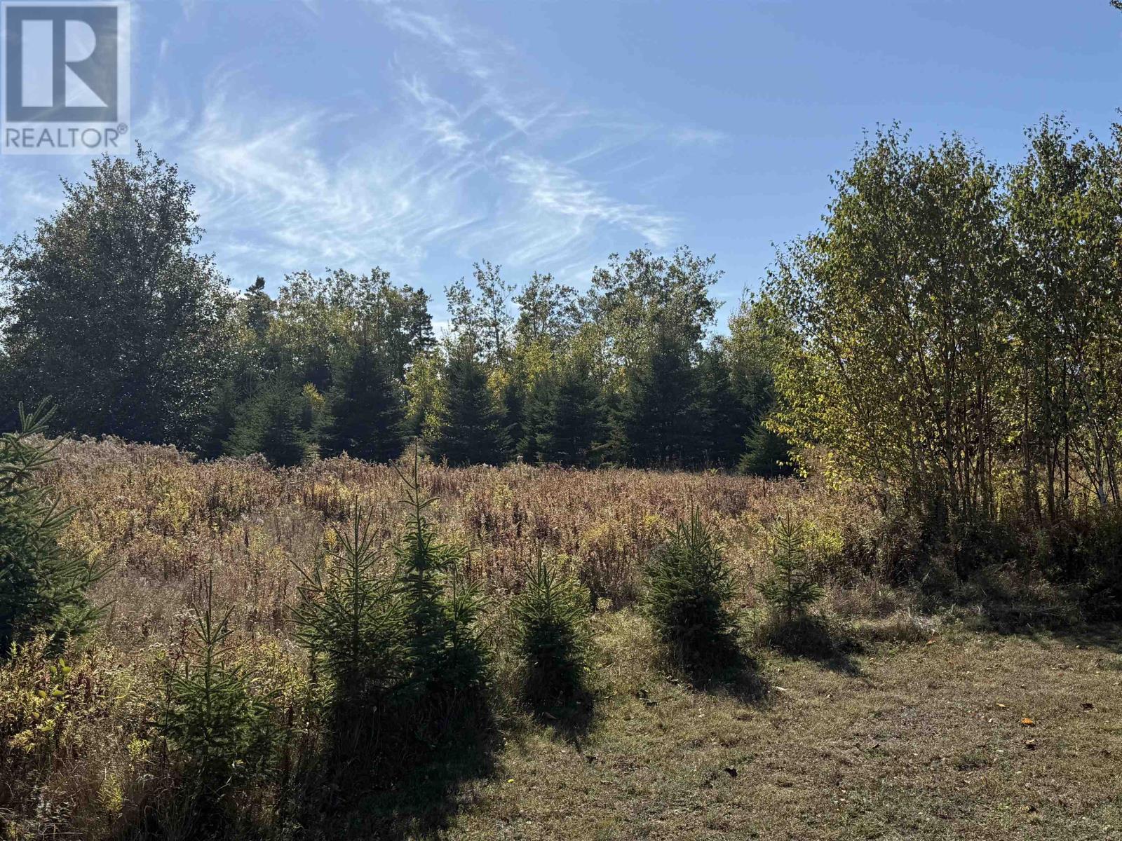 Lot Halle Court, Pleasant Grove, Prince Edward Island C0A 1P0 - Photo 7 - 202526573