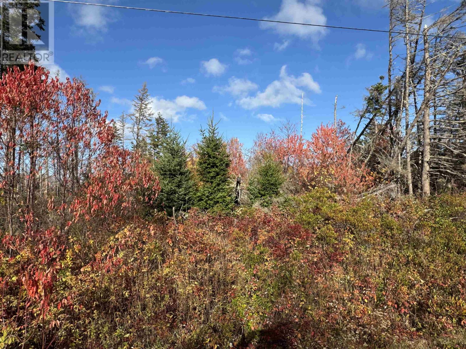 Lot Willow Lane, Priest Pond, Prince Edward Island C0A 2B0 - Photo 1 - 202527231