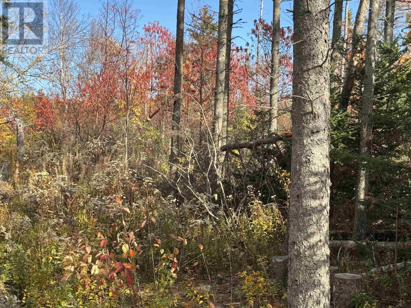 Lot Willow Lane, Priest Pond, Prince Edward Island C0A 2B0 - Photo 2 - 202527231