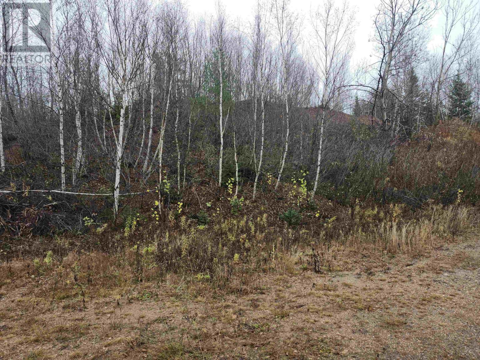 Acreage Campbells Road, Whim Road, Prince Edward Island  C0A 1R0 - Photo 8 - 202527912