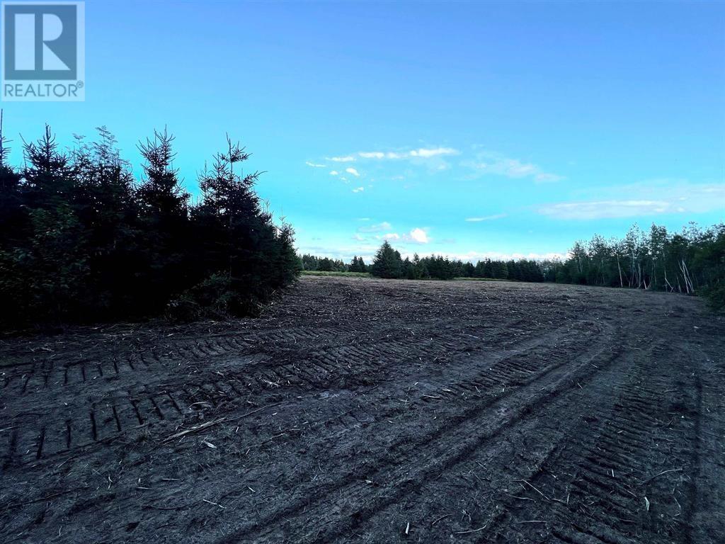 1 Boughton Bay Lane, Launching, Prince Edward Island  C0A 1G0 - Photo 10 - 202529754
