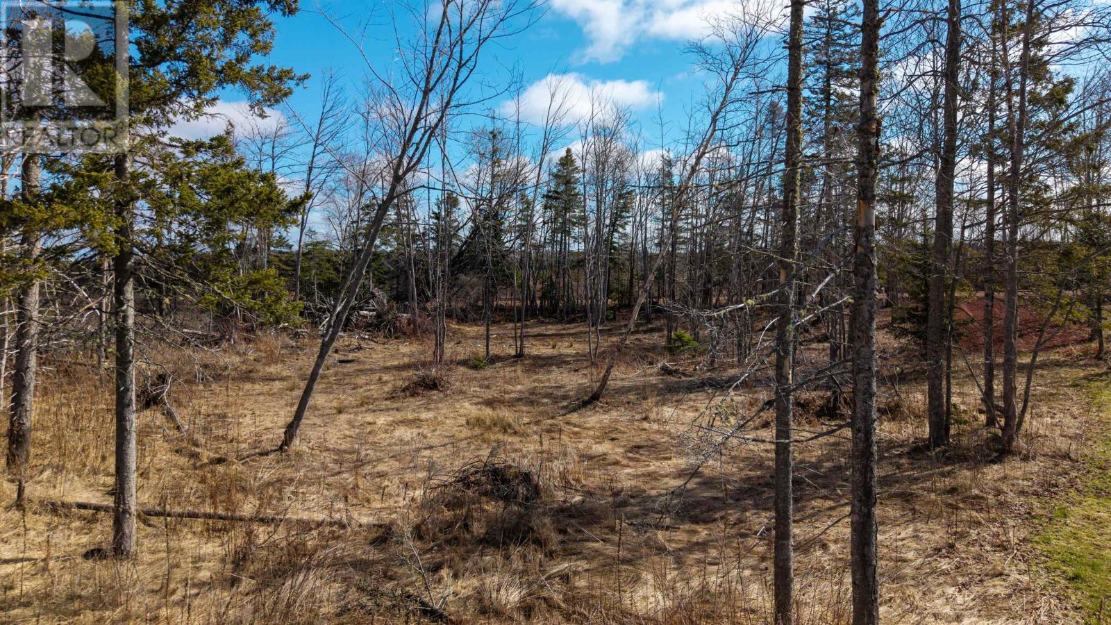 Lot Cape Breton Road, Dromore, Prince Edward Island C0A 1T0 - Photo 8 - 202608516